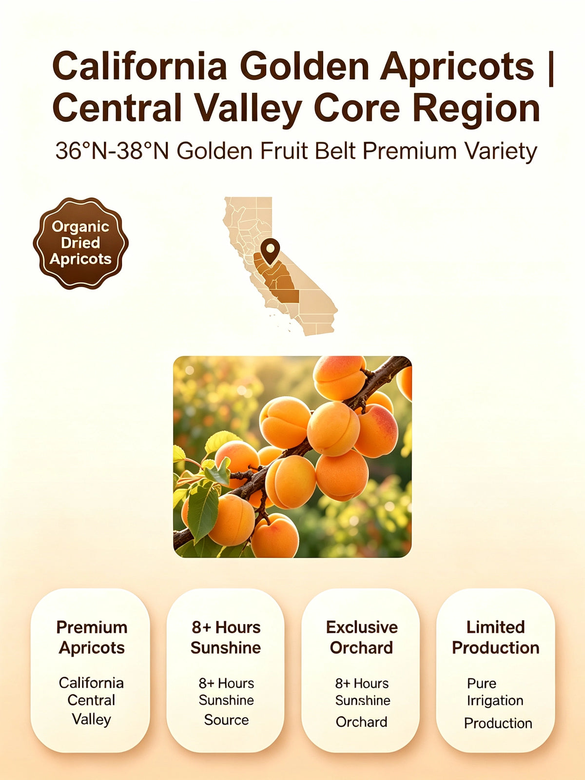 🍑Specialty California Central Valley Dried Apricots, Naturally Sweet Non‑GMO Sun‑Ripened Dried Fruit Snack-G$